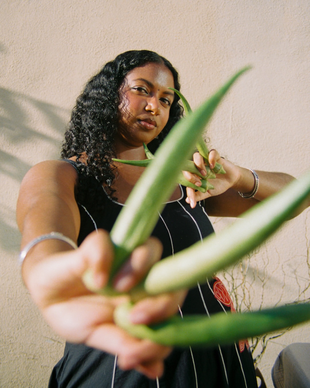 Anisha Sisodia Feb. 26