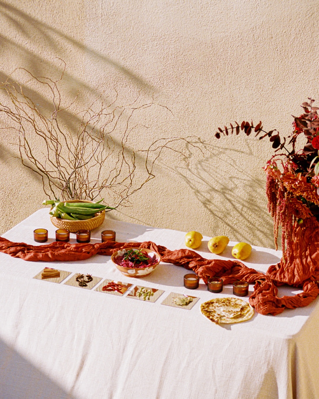 Anisha Sisodia Feb. 26