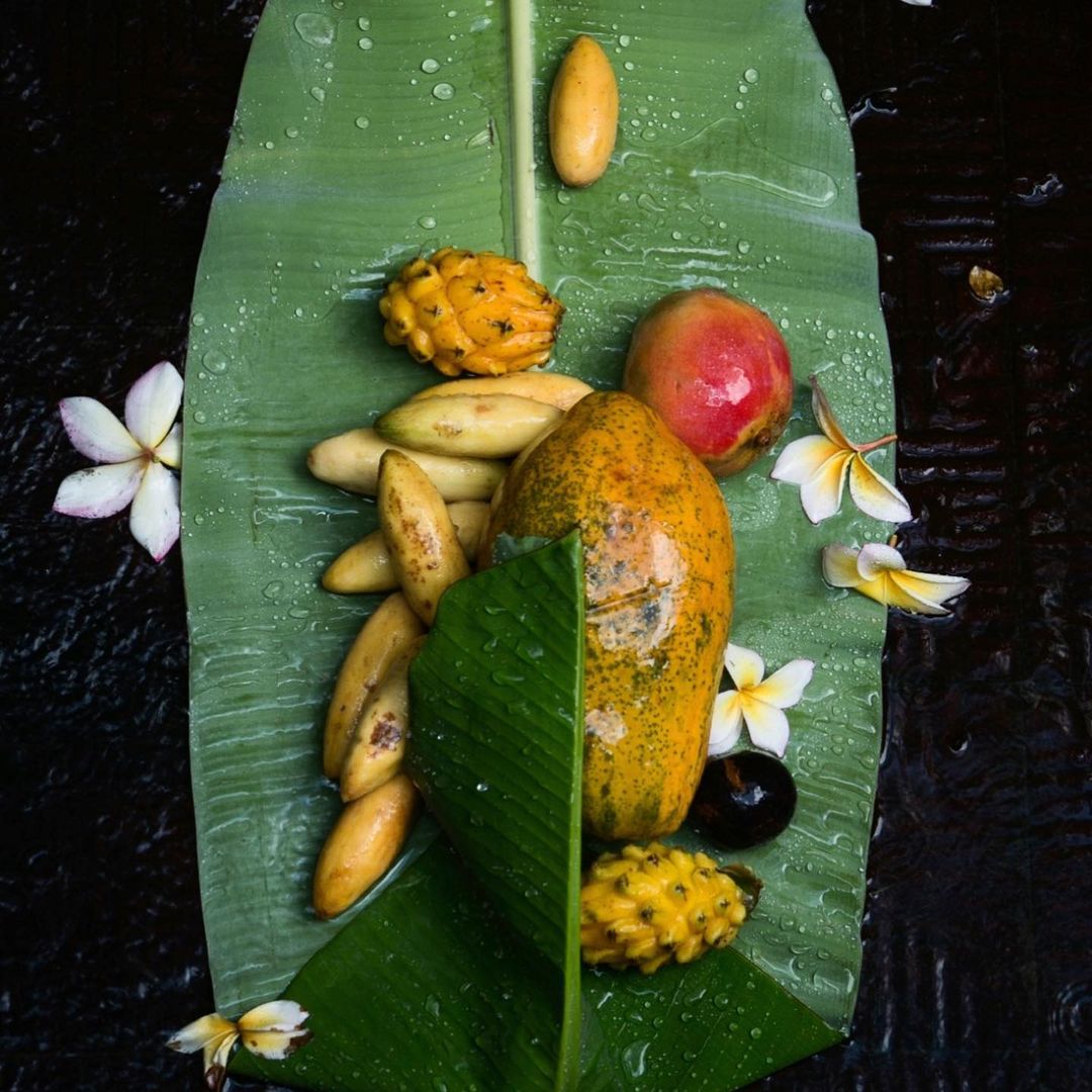 Joaquina Botánica |  Mar. 21