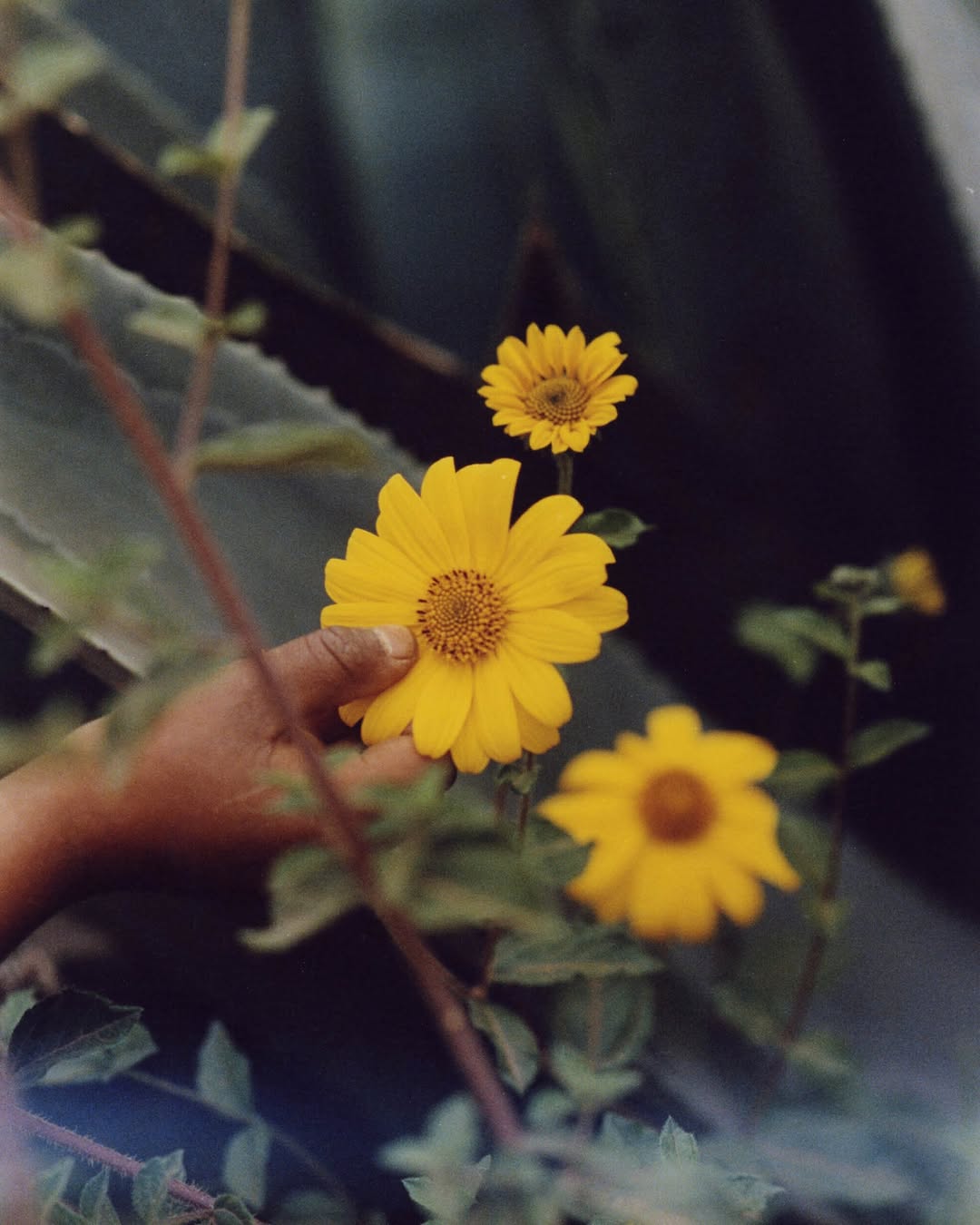 slider image