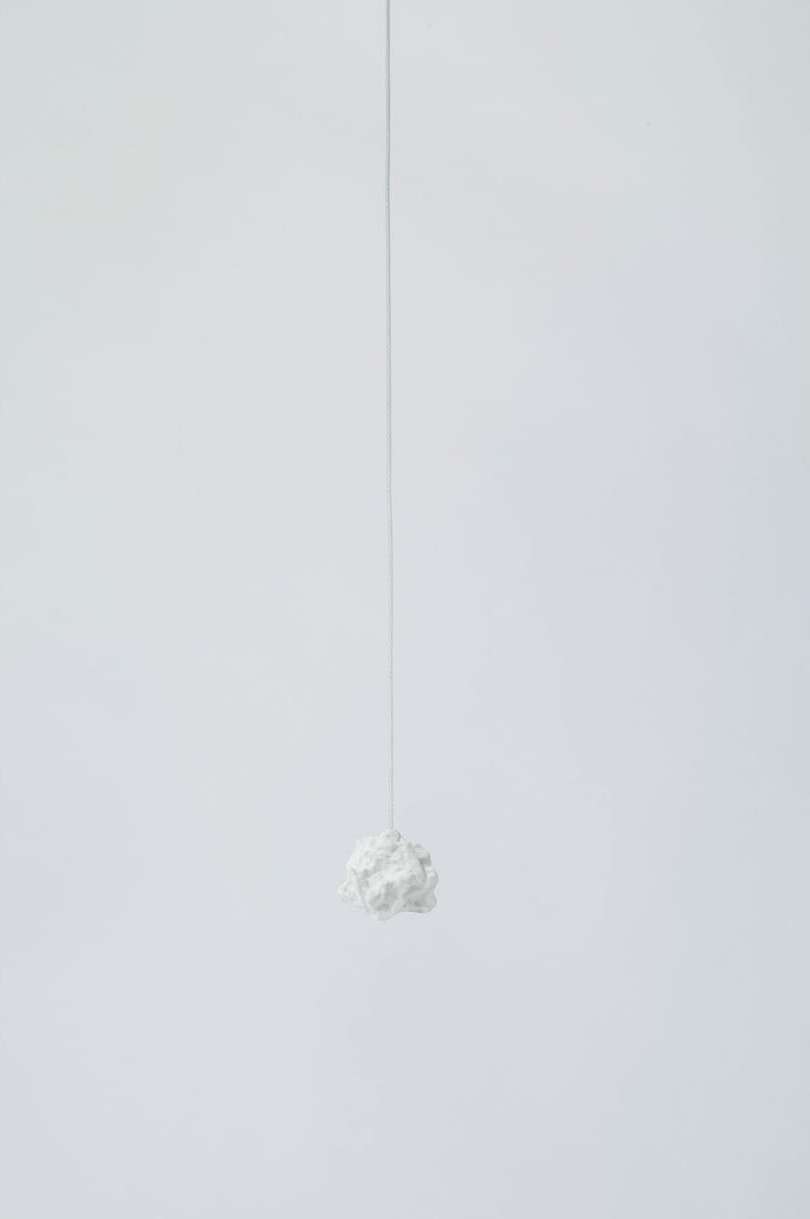 Studio Vit |  Jan. 26