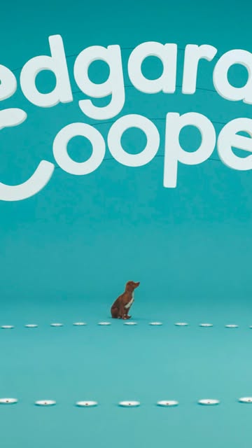 Edgard & Cooper |  Nov. 25