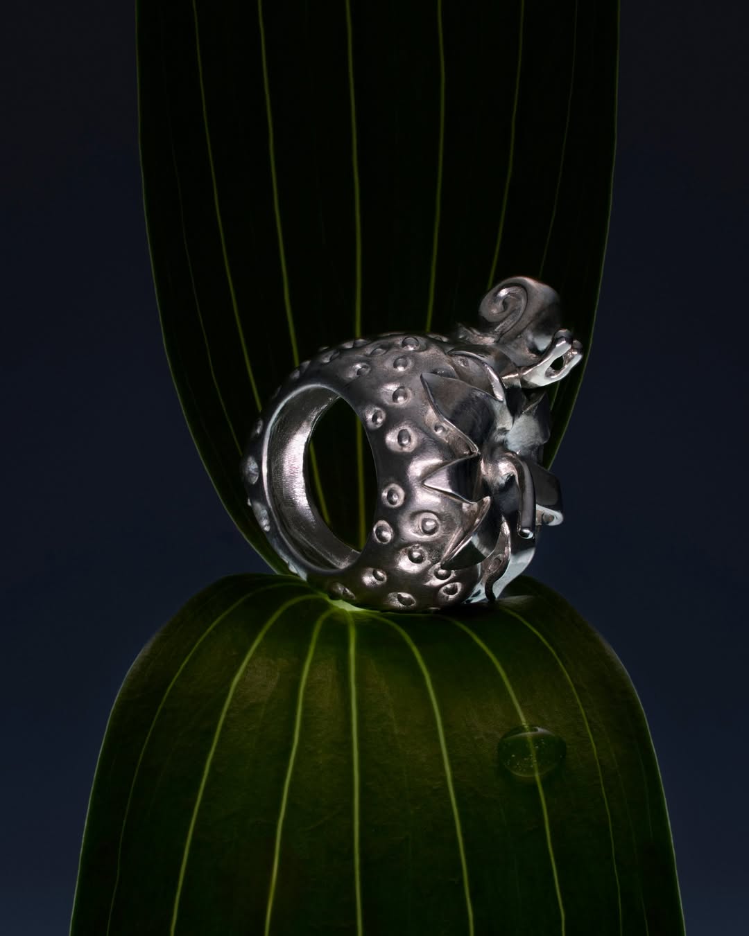 Léonard Oliviero X Bisous Bijoux Nov. 25