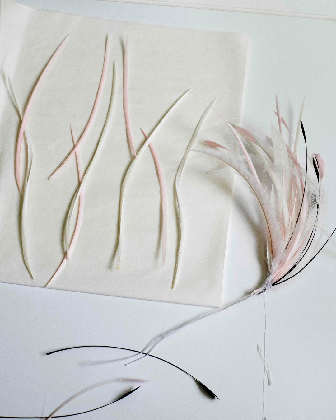 Laure Sée X Chanel Dec. 25