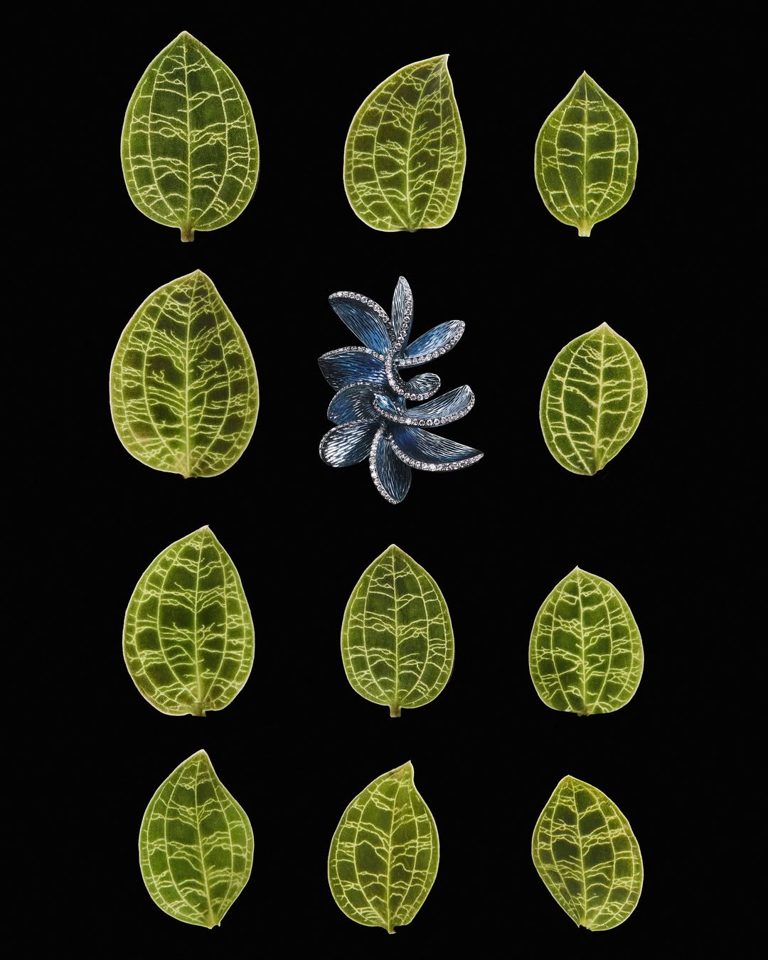 Léonard Oliviero X VO+ Jewelry Magazine Feb. 26