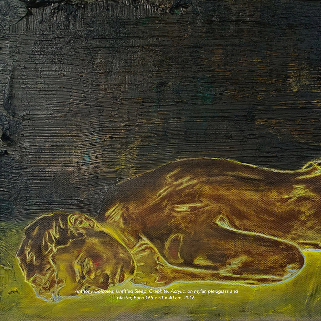 Anthony Goicolea X Astoria Artshow Sep. 26