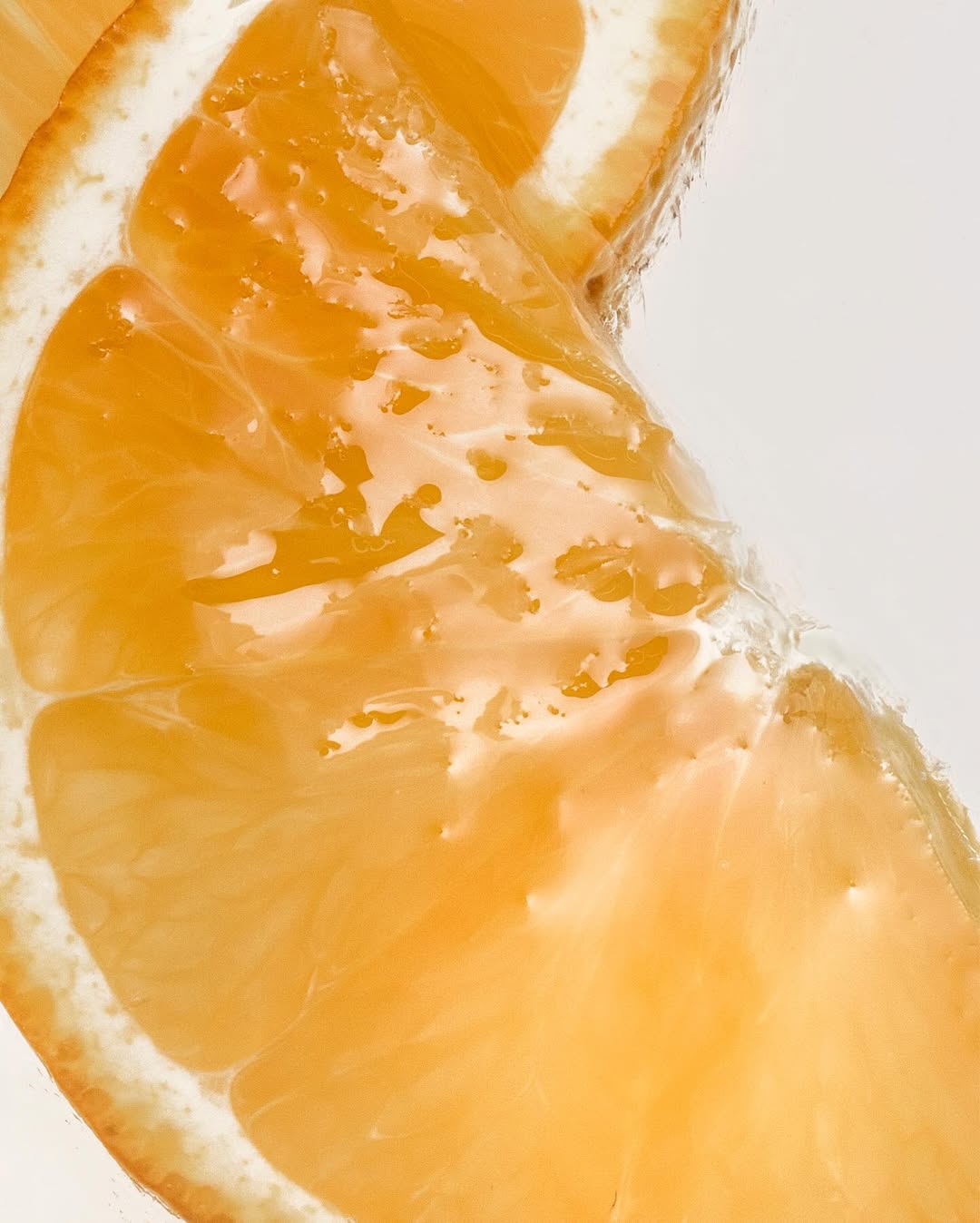 Antinomia