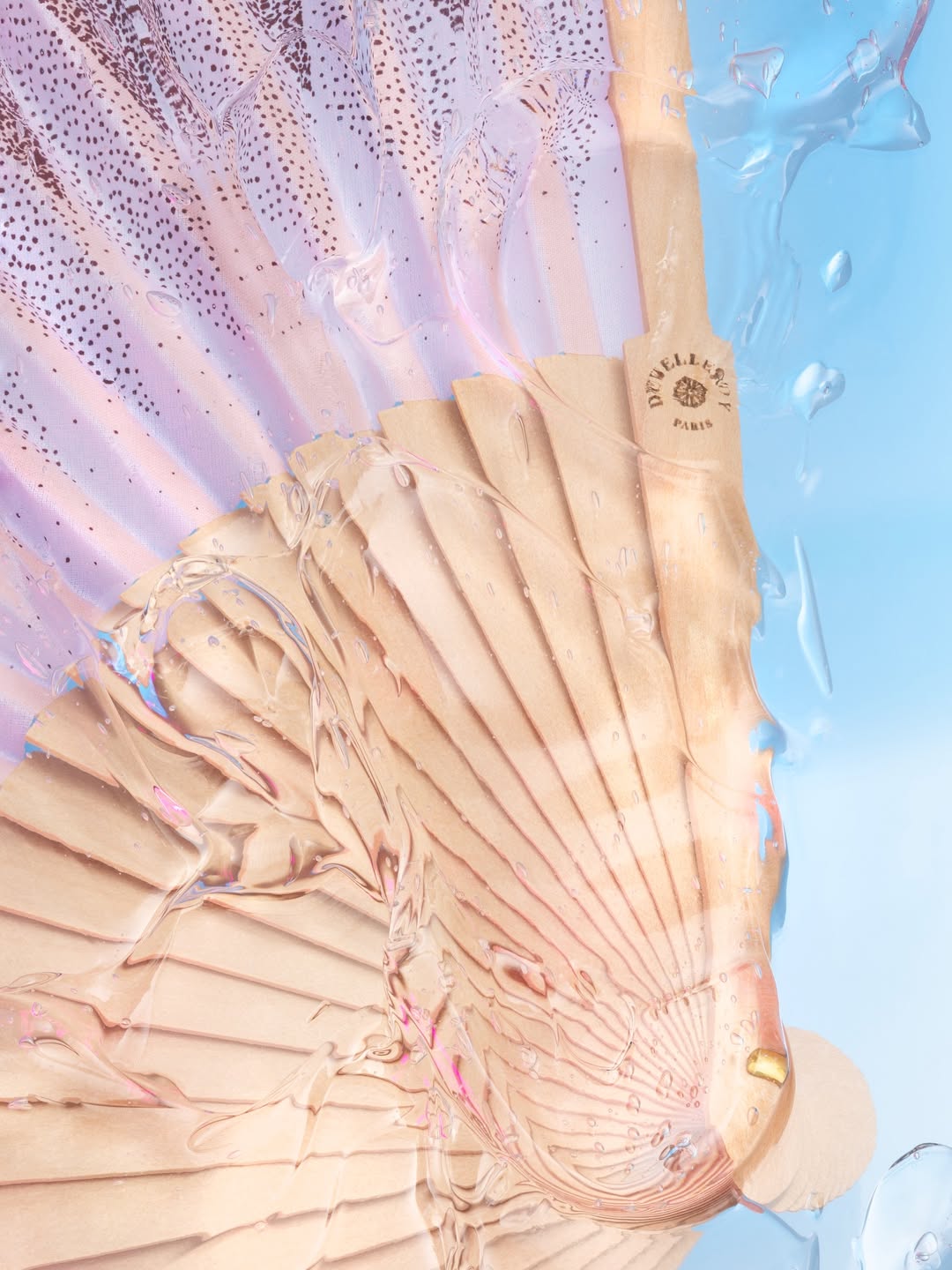 Antinomia X duvelleroy