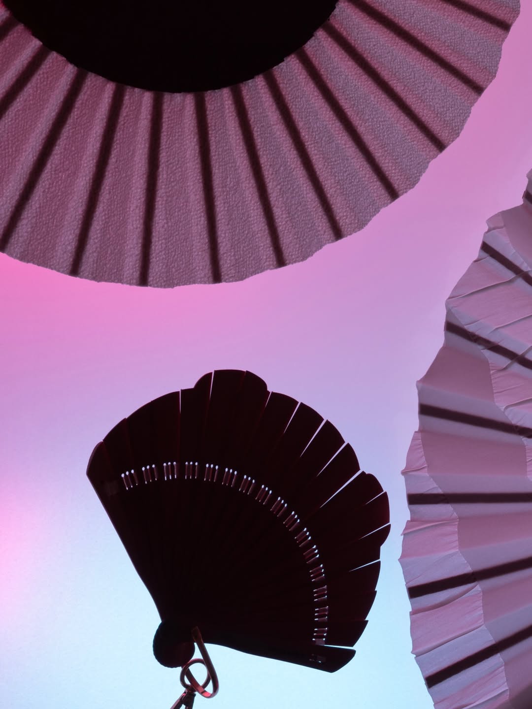 Antinomia X duvelleroy