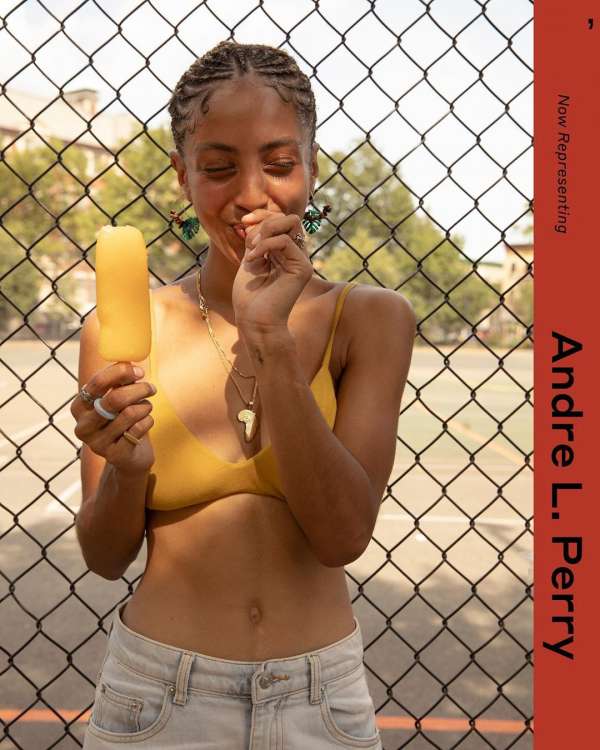 Andre L Perry