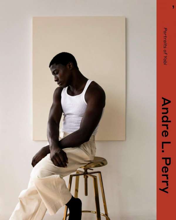 Andre L Perry