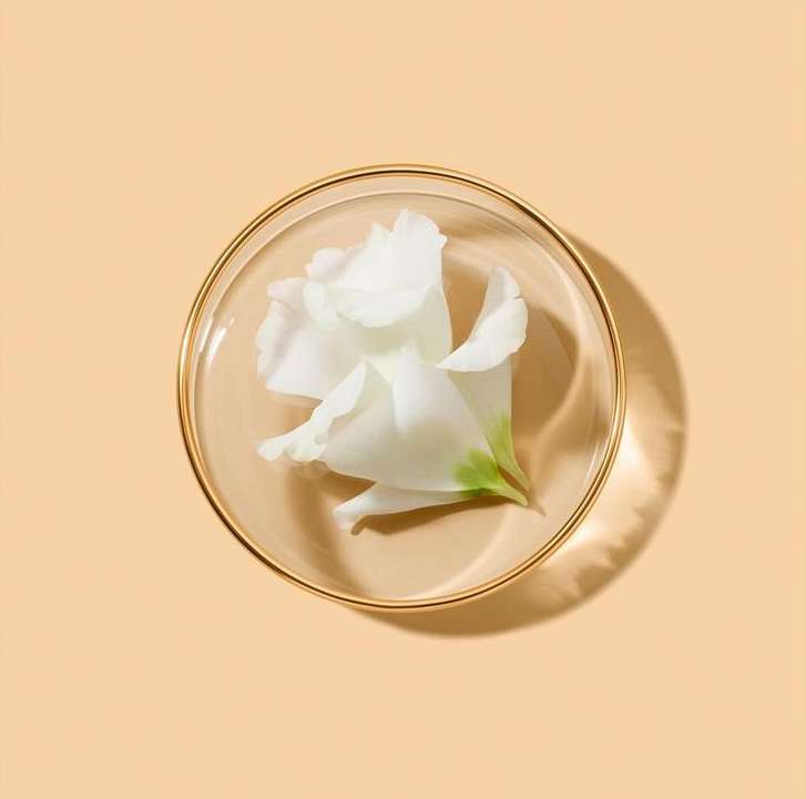 Estee Lauder |  May. 22