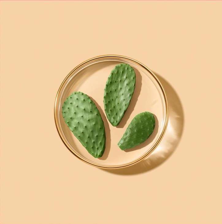 Estee Lauder |  May. 22