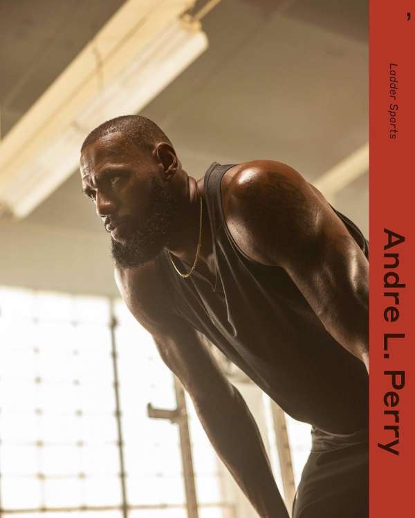 Andre L Perry