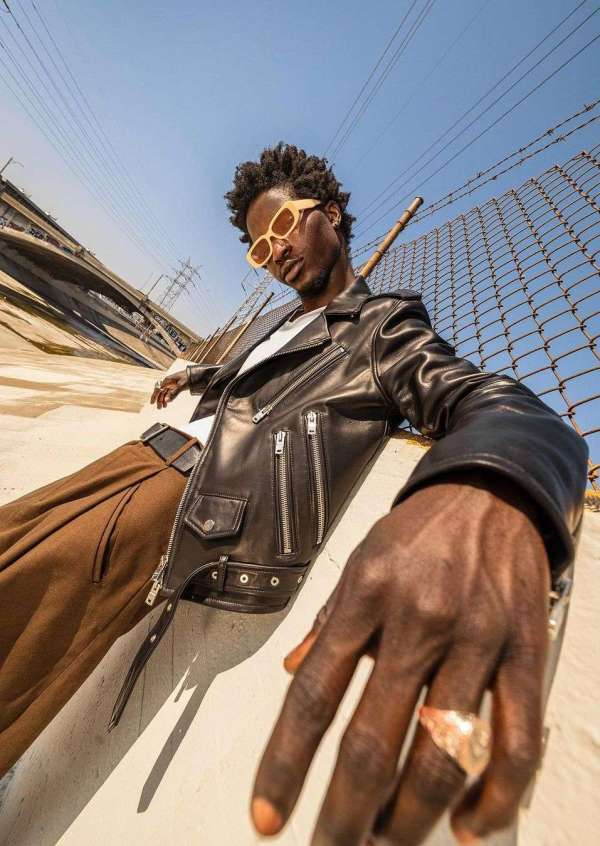 Andre L Perry