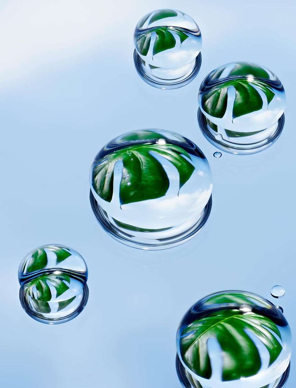 Covergirl |  Jan. 24