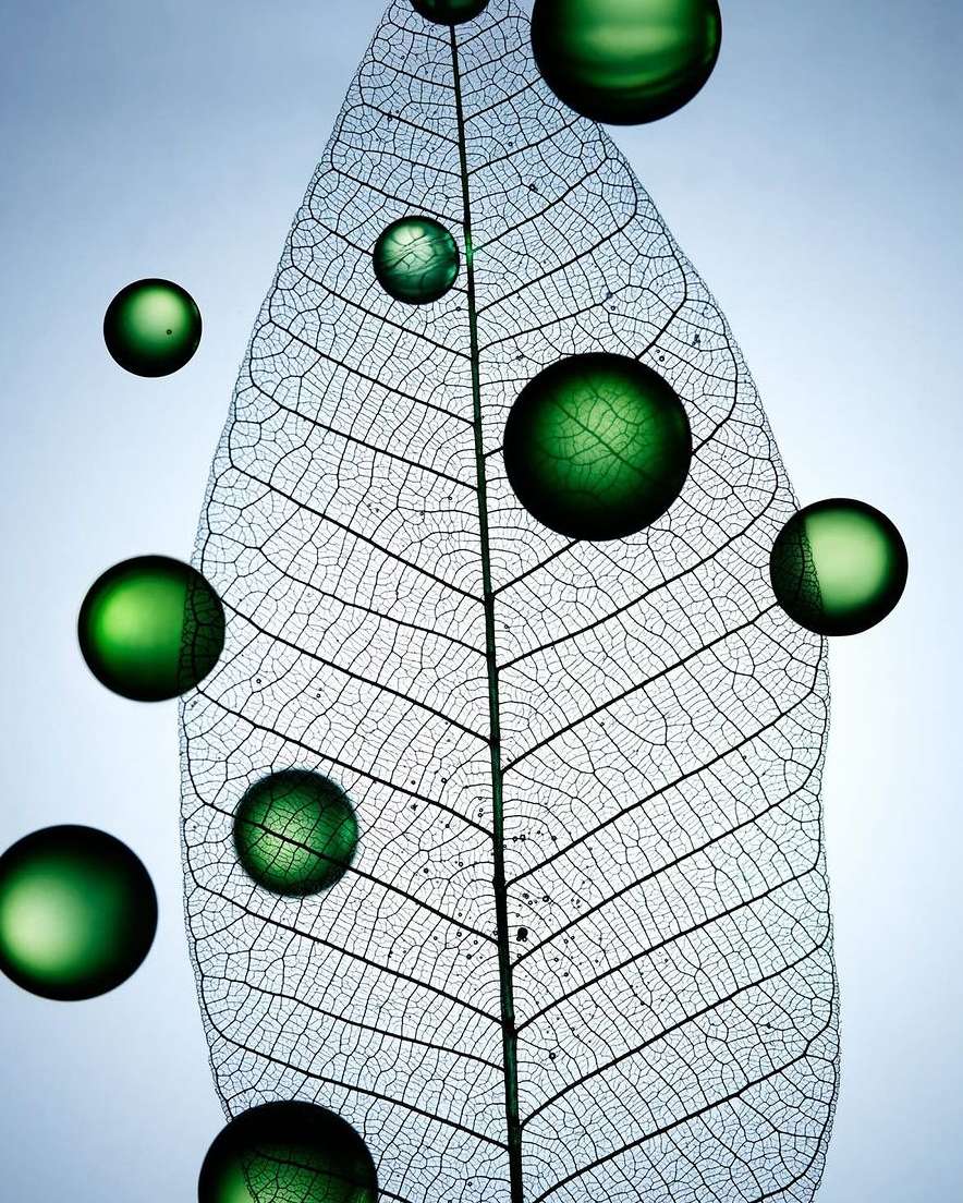 Covergirl |  Jan. 24