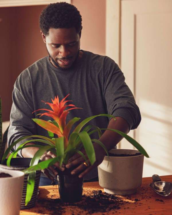 Andre L Perry