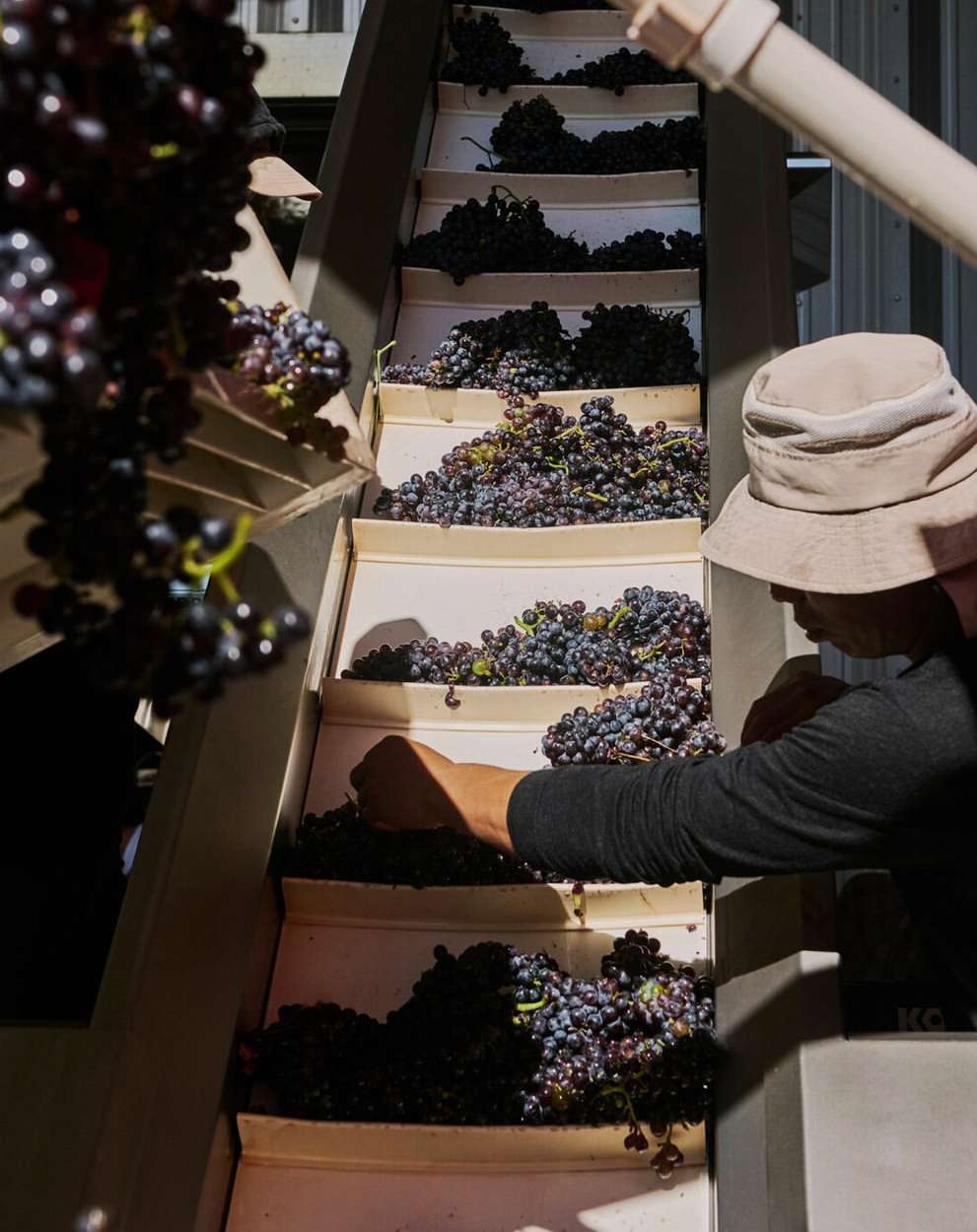 Julia Stotz X Food & Wine Oct. 25
