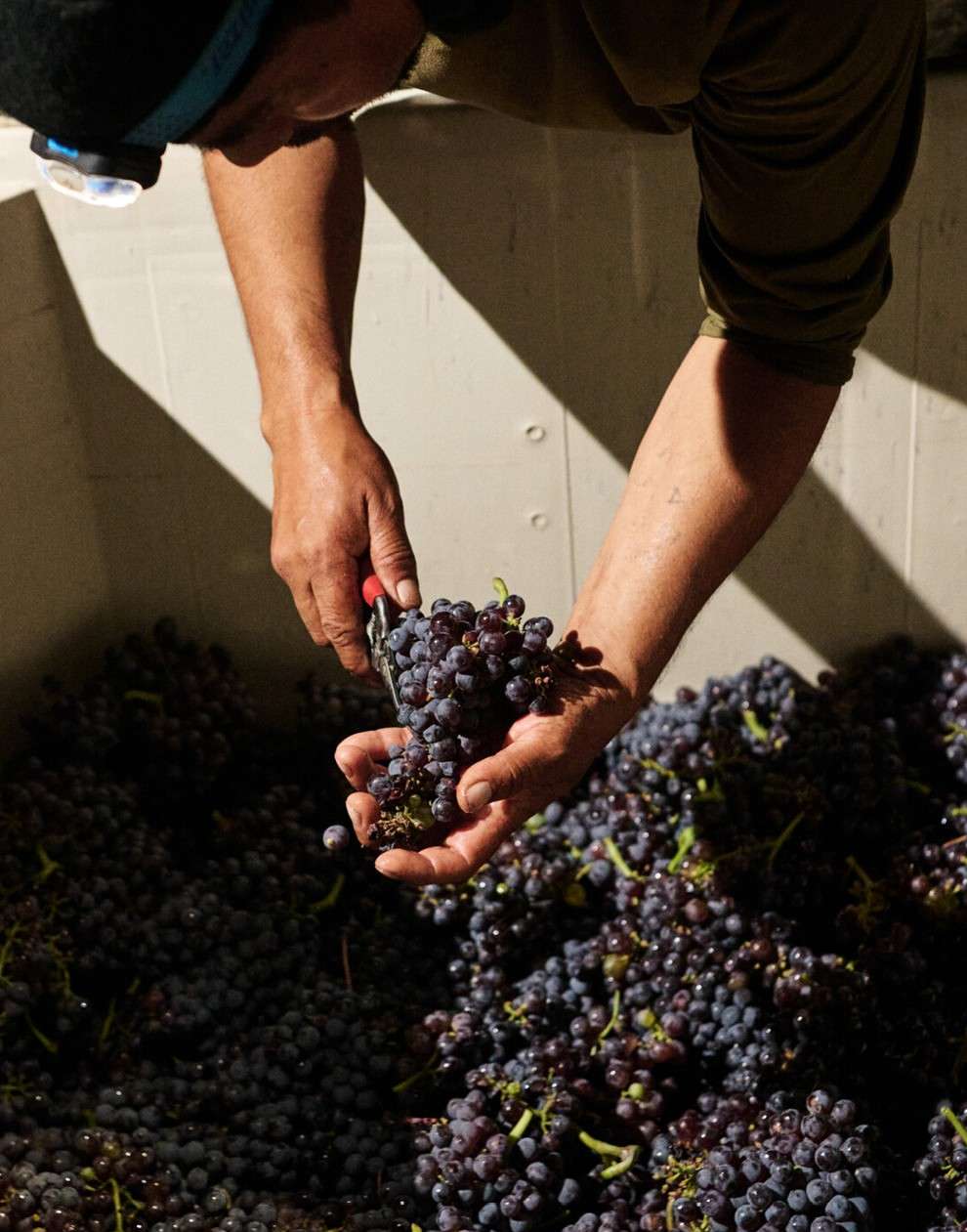 Julia Stotz X Food & Wine Oct. 25