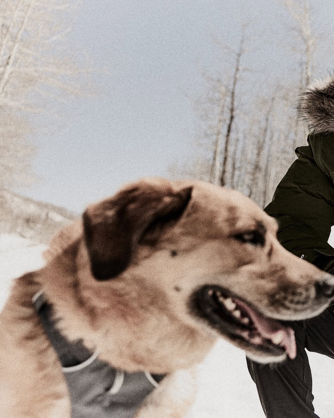 Matt Hawthorne X Dick’s Sporting Goods Oct. 25