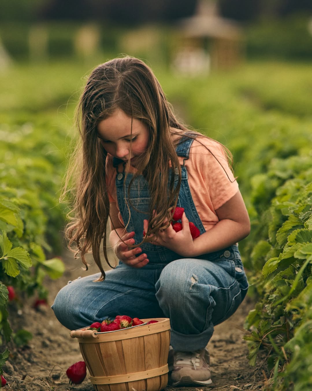 Regence BlueShield |  Apr. 26