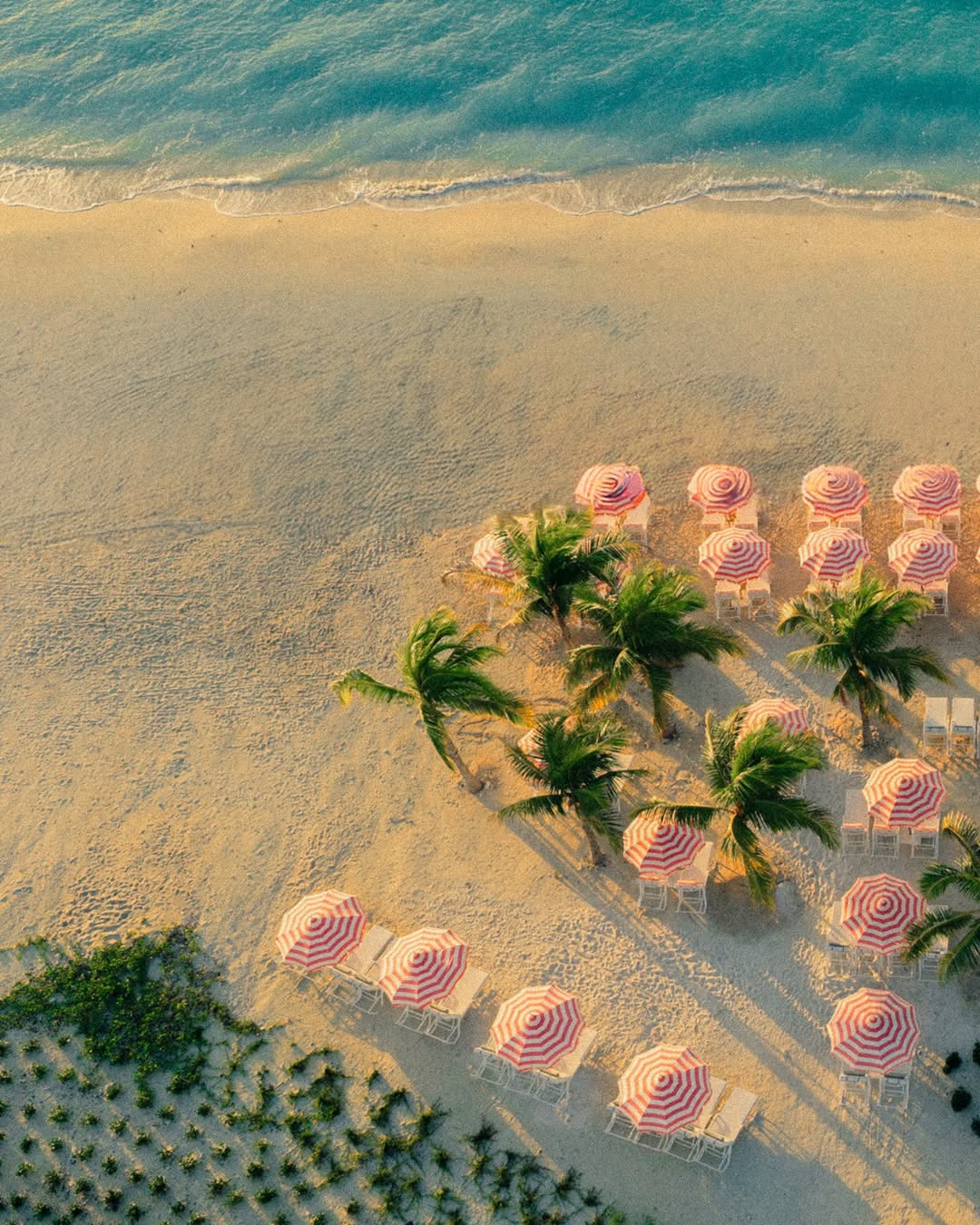 Jordan & Dani X Princess Cruises Apr. 26