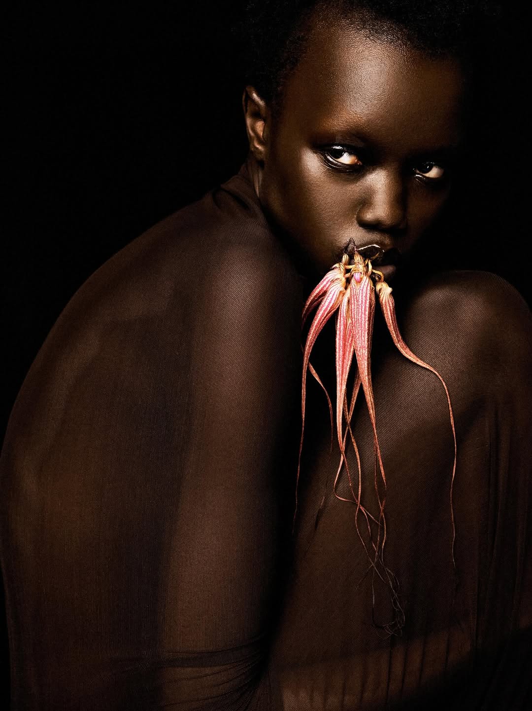 @officialbyredo presents Mojave Ghost

Photography: @zhonglin_
Styling: @zhangylily
Hair Stylist: @jawaraw
Makeup Artist: @luciapicaofficial
Manicurist: @jessicatrochut_nailartist
Set Design/Floral Designer: @studiovegete

Production by: @apstudioinc