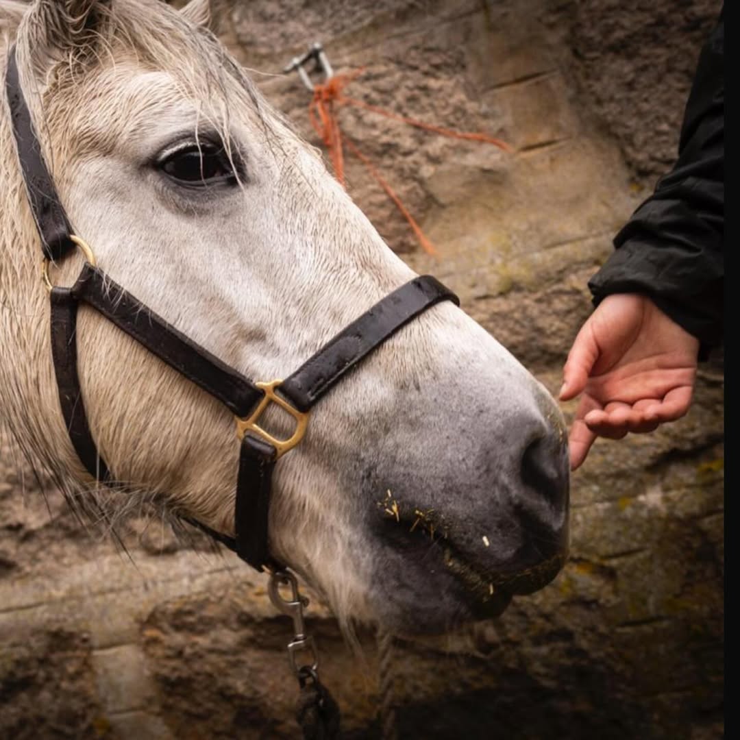 Autumn Sonnichsen Dec. 25