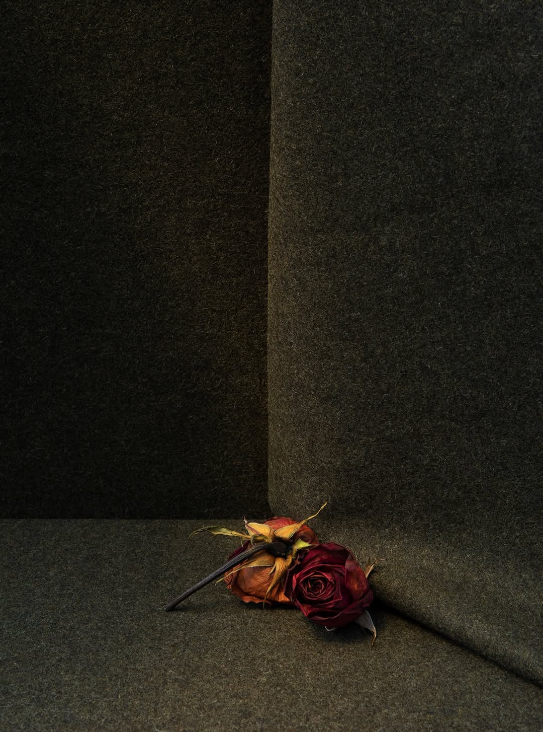 Armando Ferrari Nov. 25