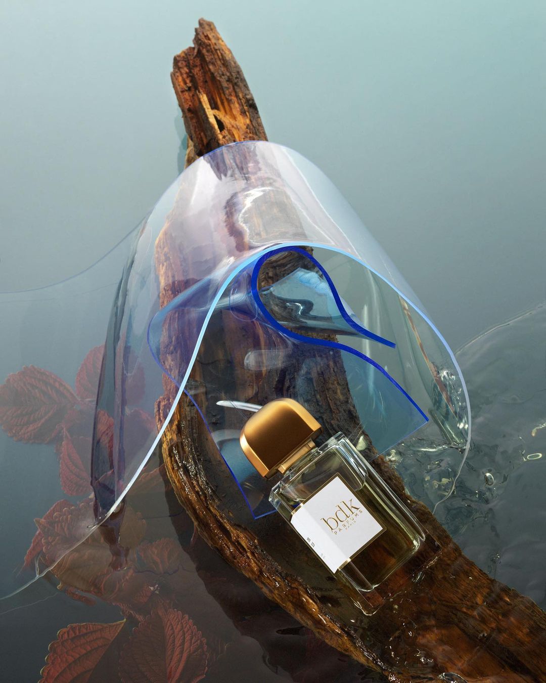 SCENTURY magazine |  Oct. 20