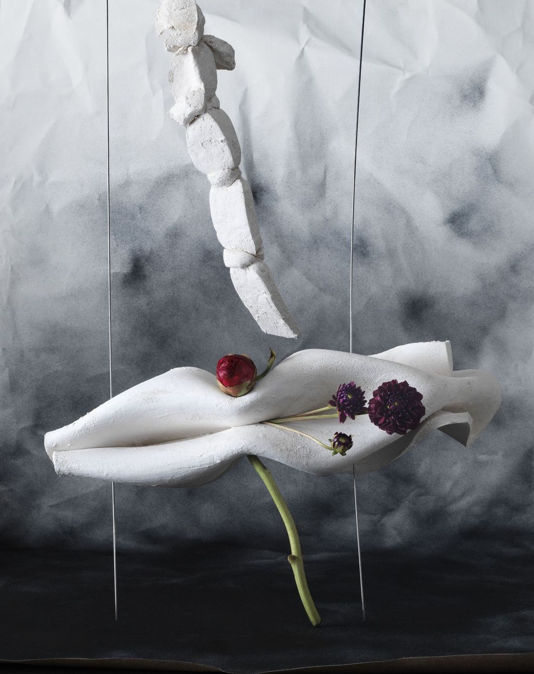 Stories Collective |  Apr. 23