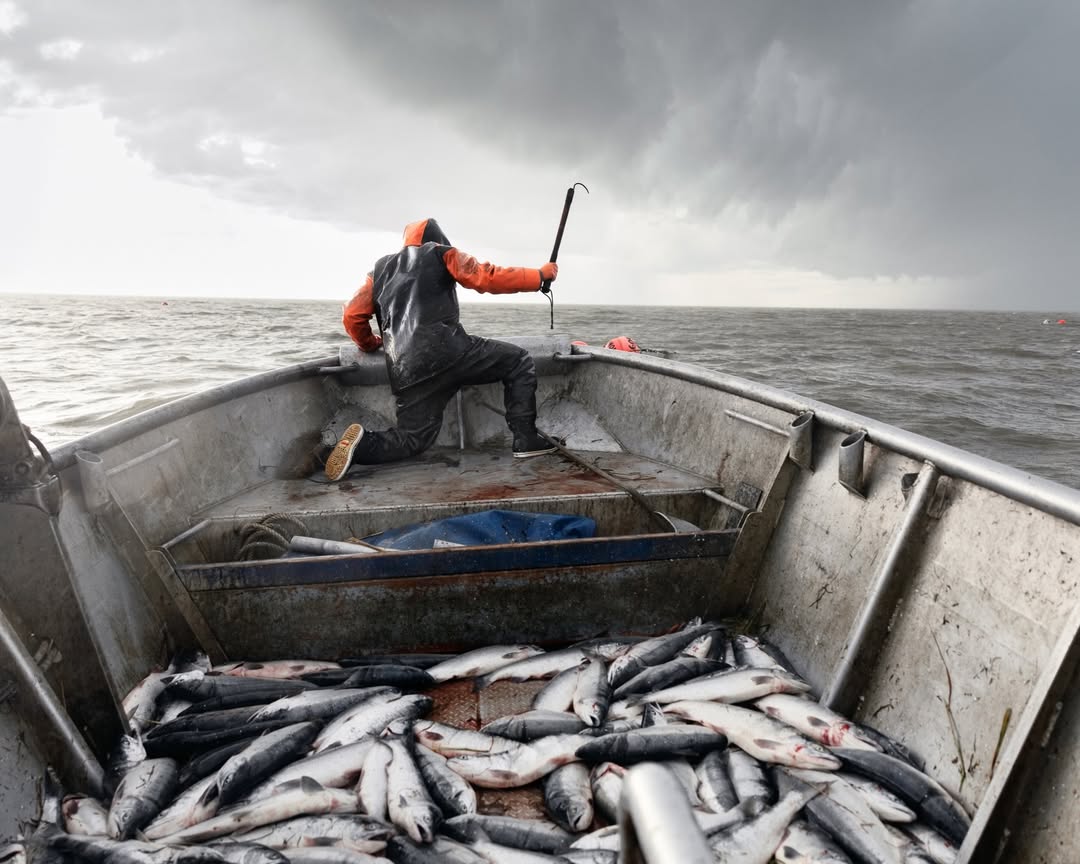 Corey Arnold X Imogen Gallery Feb. 26