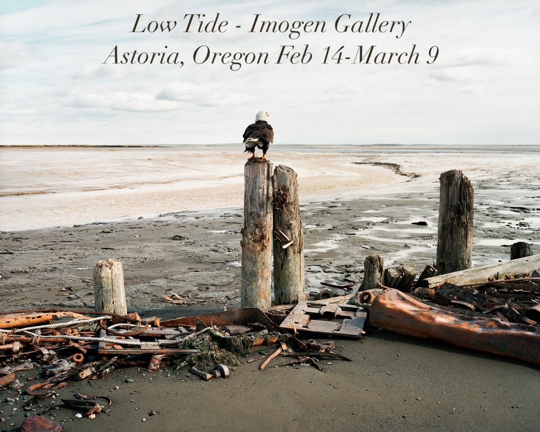 Corey Arnold X Imogen Gallery