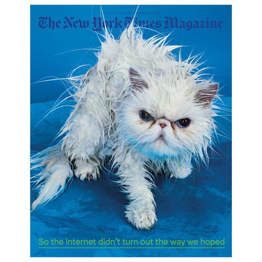 The New York Times Magazine |  Nov. 19