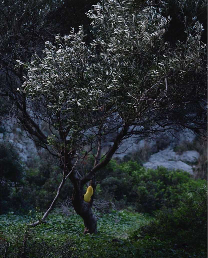 CAMPERLAB |  May. 20