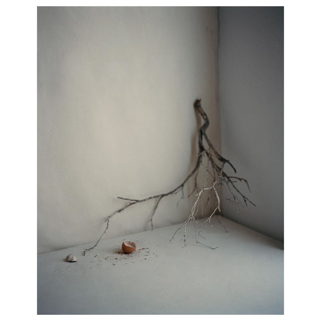 Dust Magazine |  Jul. 20