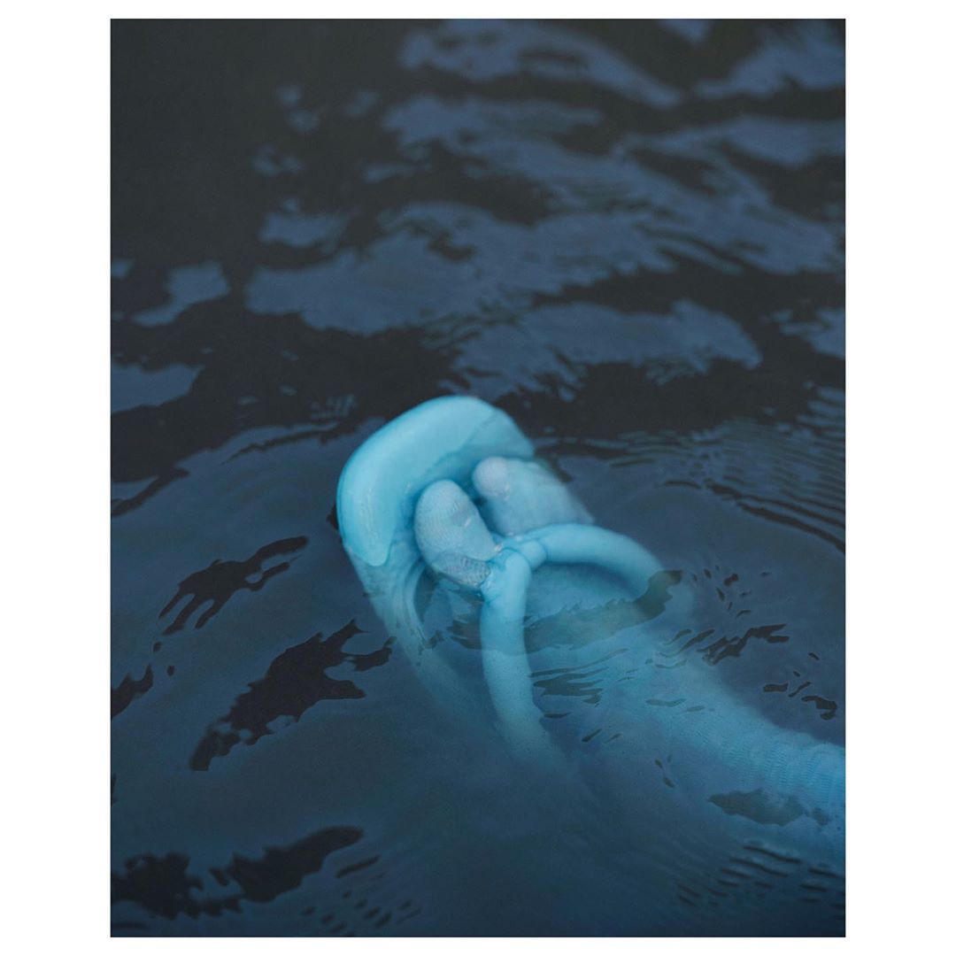 CAMPERLAB |  Sep. 20