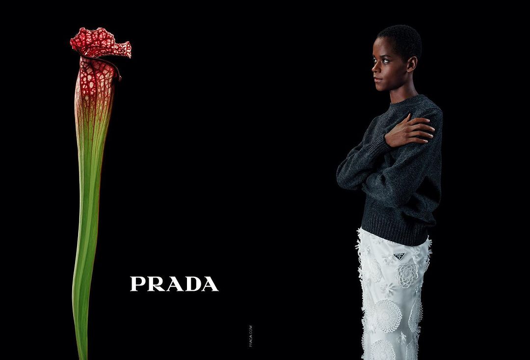Prada |  Oct. 23