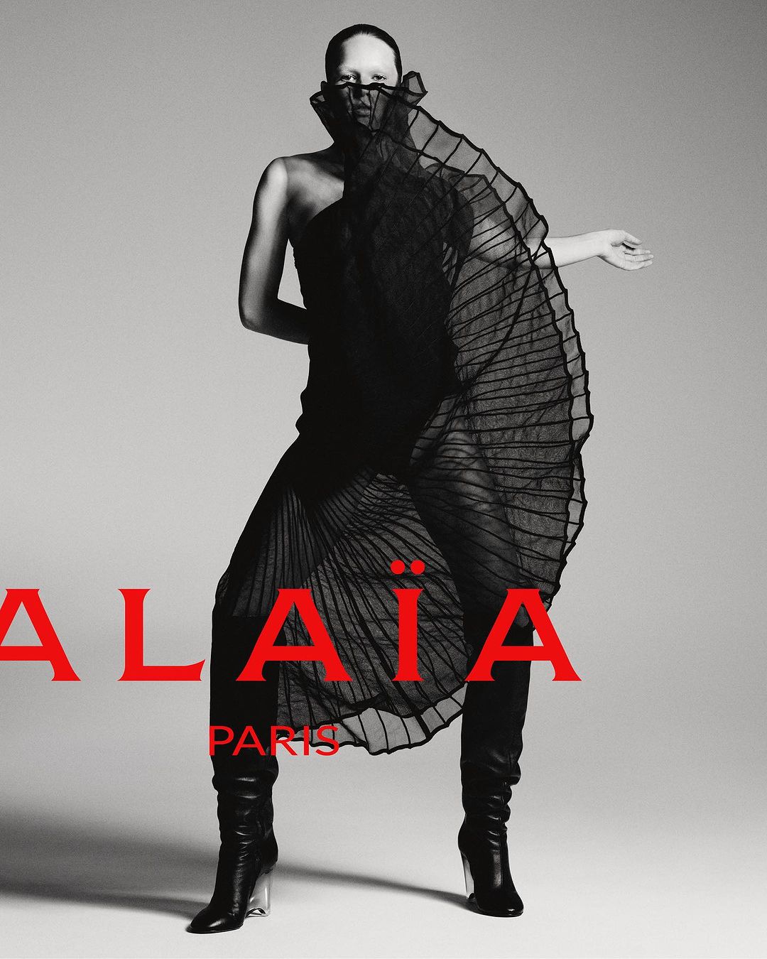 Alaïa |  Nov. 23