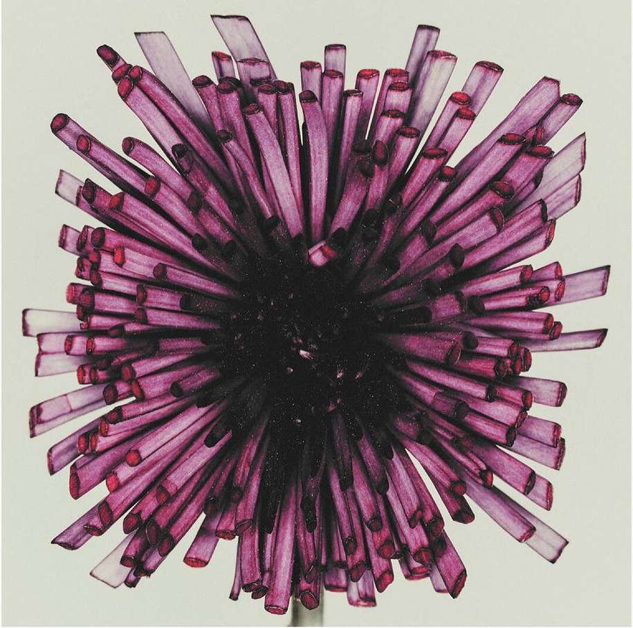 The Perfect Magazine |  Apr. 24