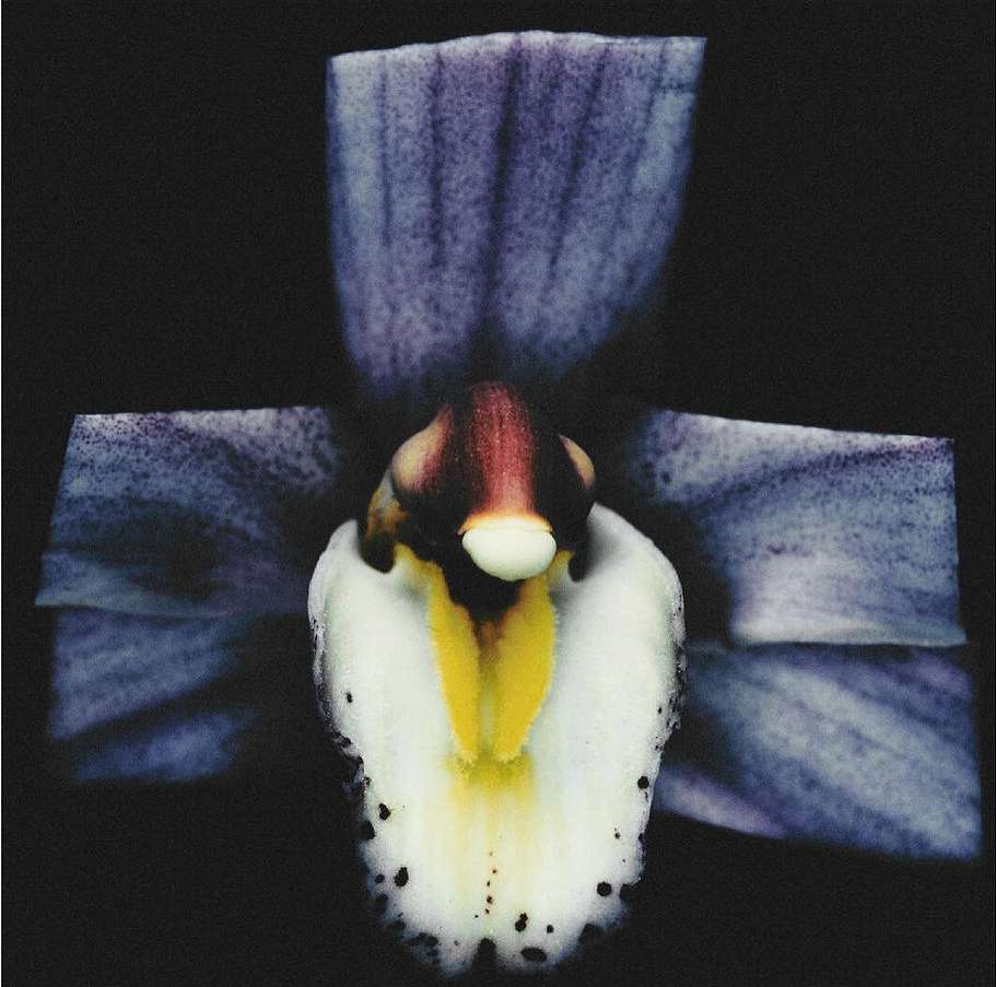 The Perfect Magazine |  Apr. 24