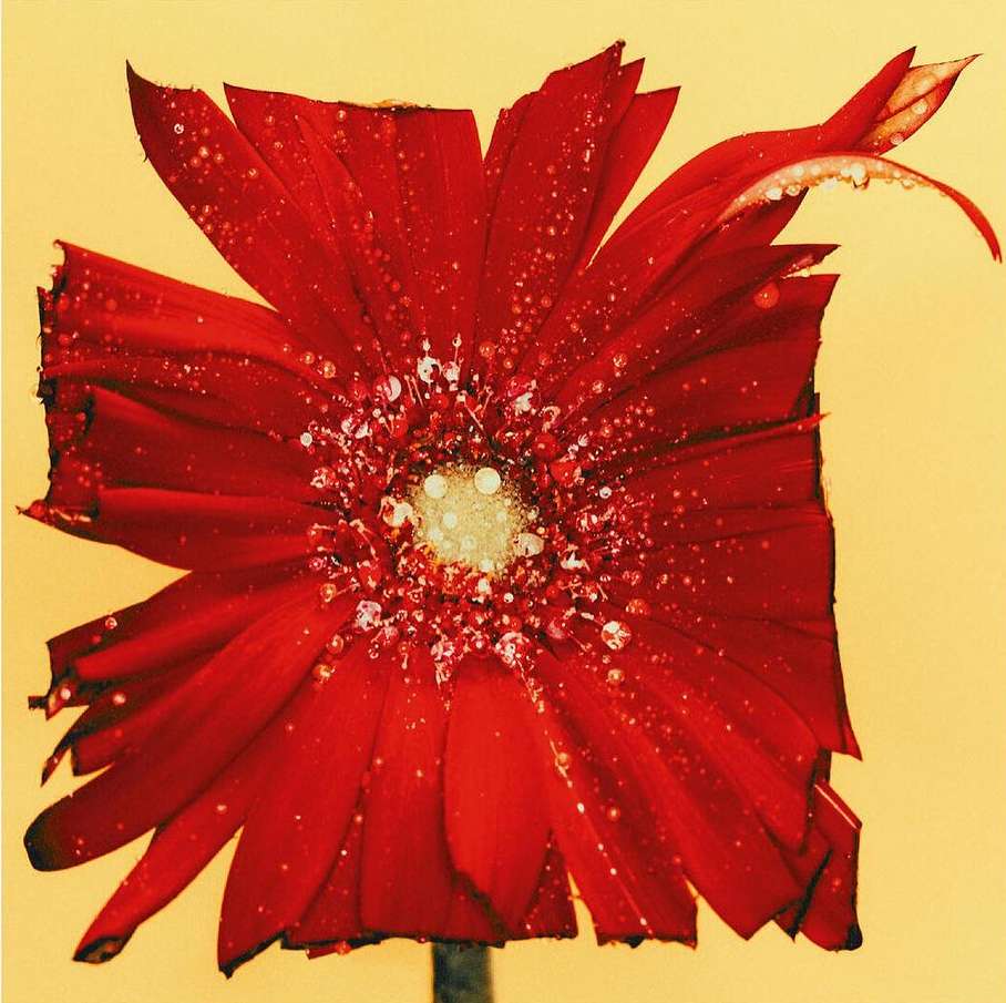 The Perfect Magazine |  Apr. 24