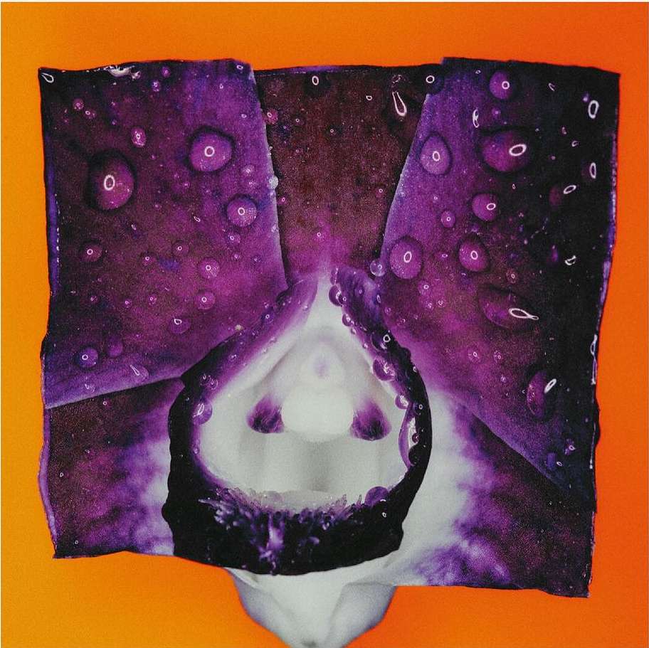 The Perfect Magazine |  Apr. 24