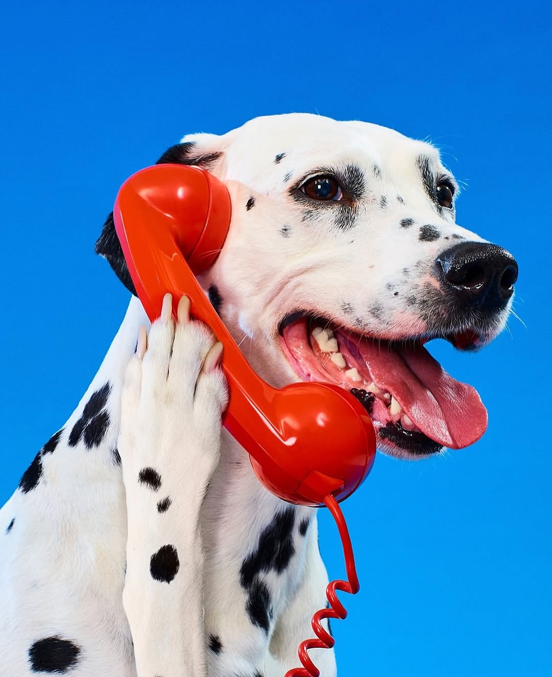 Maurizio Cattelan + Pierpaolo Ferrari