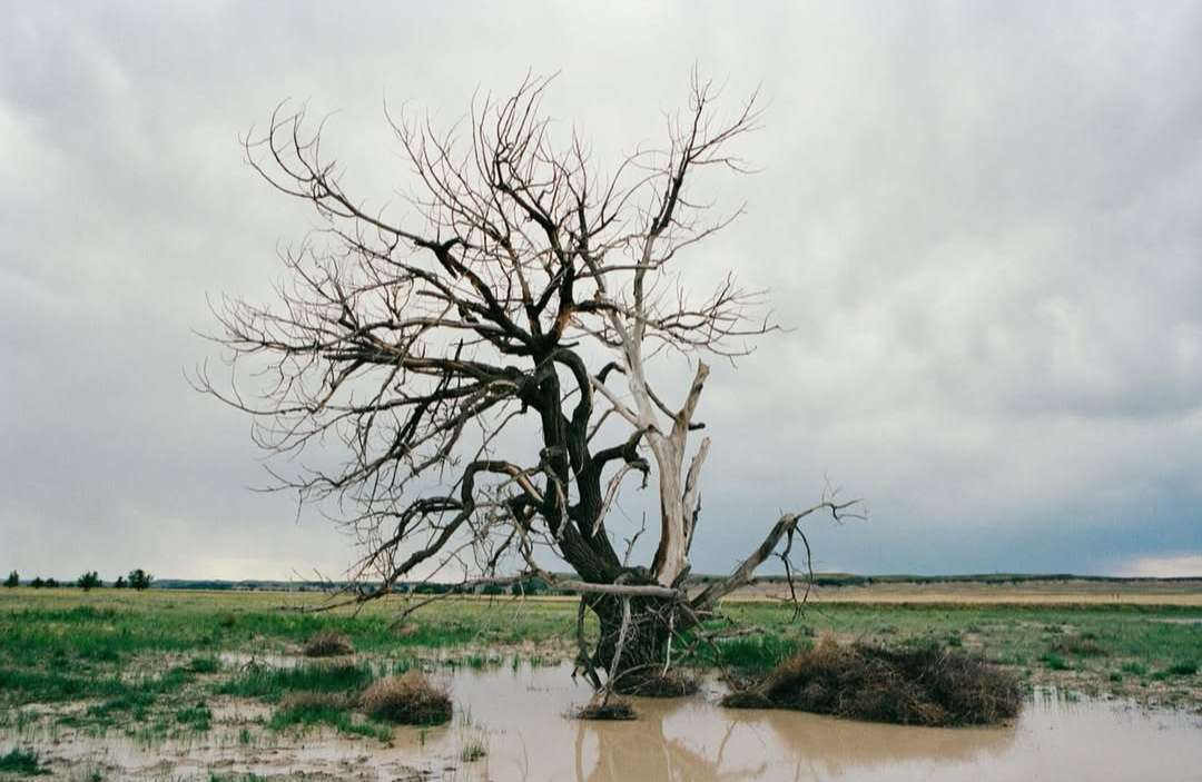 Rahim Fortune X Atmos Dec. 25