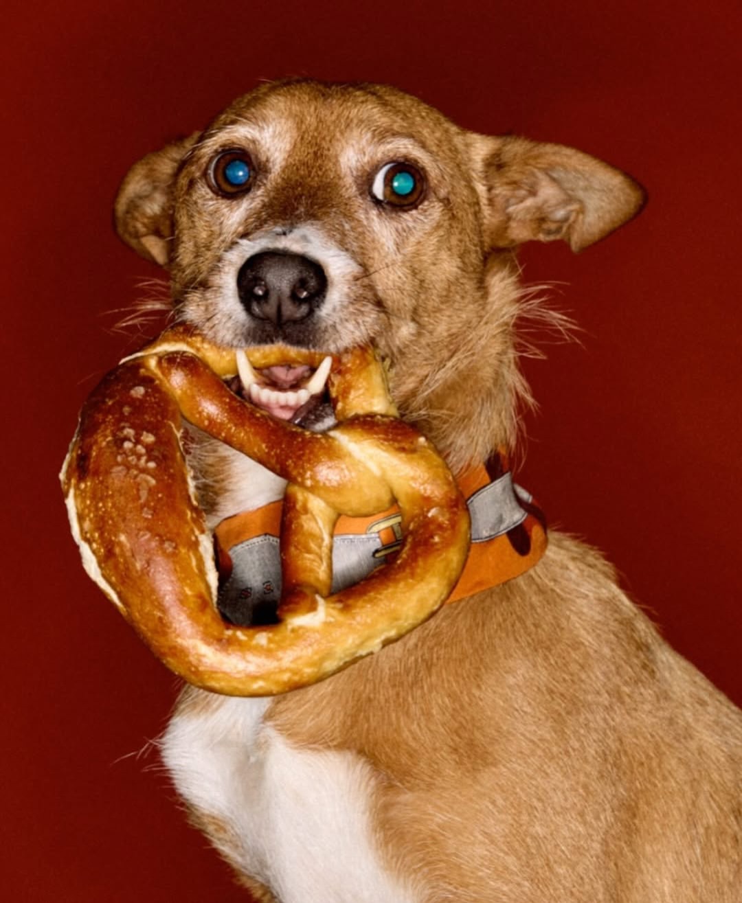 Carlijn Jacobs X M Le Monde Dec. 25