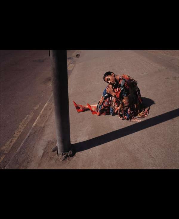 Vincent Van de Wijngaard