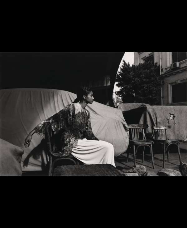 Vincent Van de Wijngaard