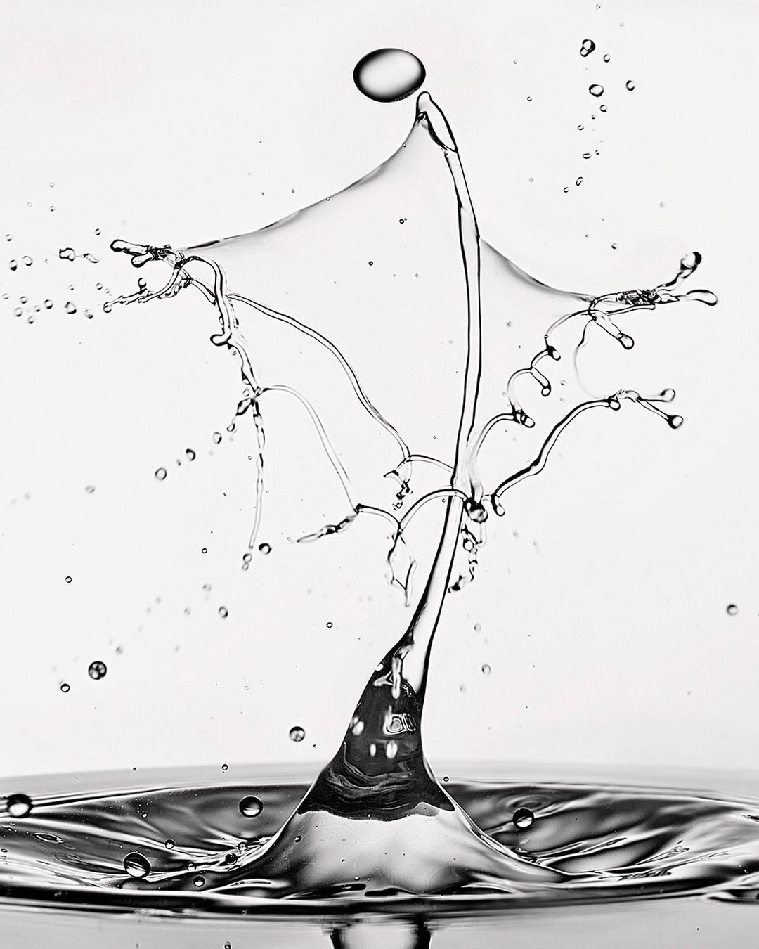 Narcisse Magazine |  Mar. 21